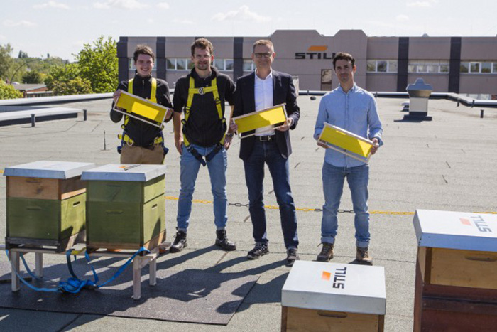 Still forklift Việt Nam