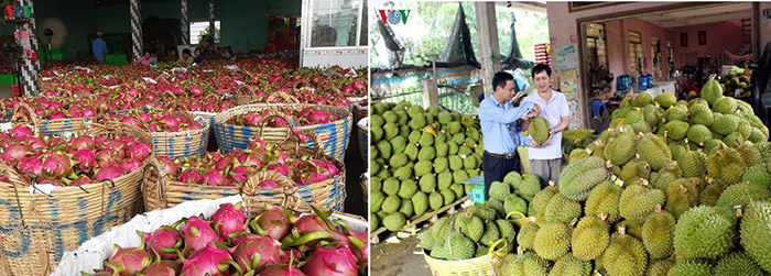 xe nâng hàng HELI tại Tiền Giang