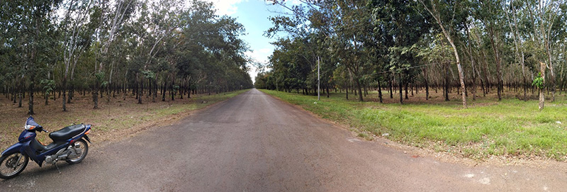 xe nâng Heli tại Bình Dương